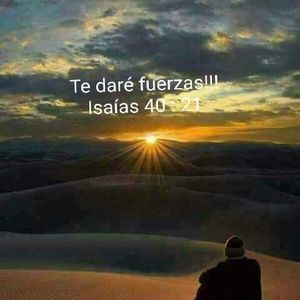 Meet your Posher, Vigil